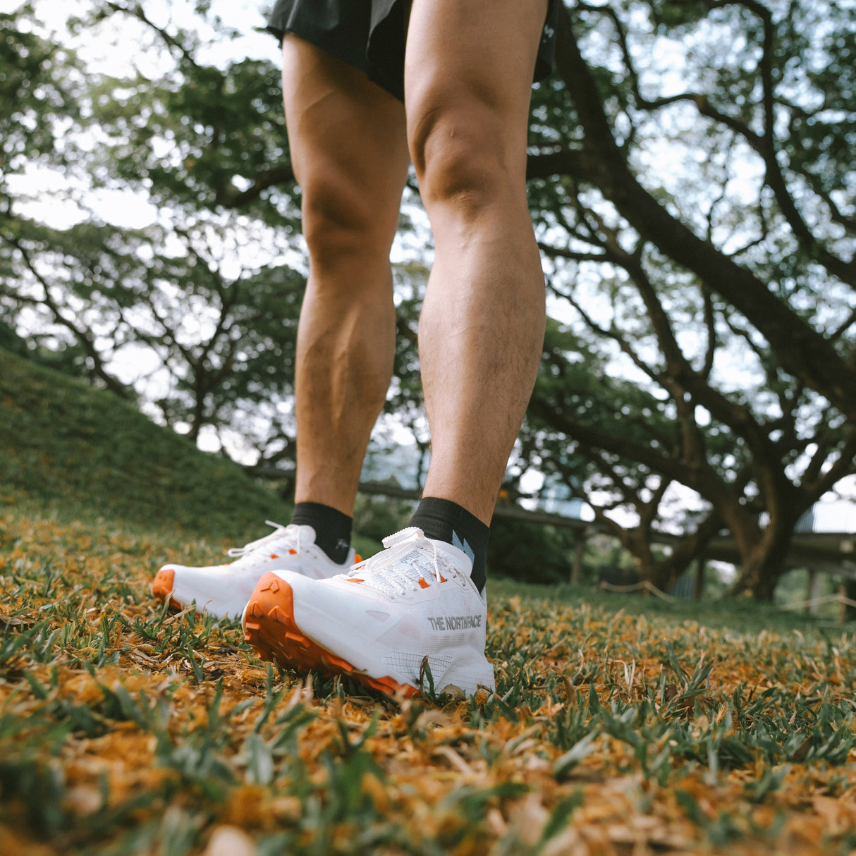 THE NORTH FACE MEN ALTAMESA 500 V2