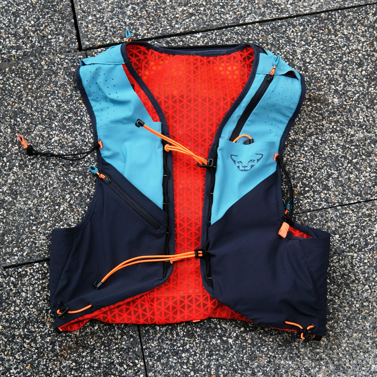 สินค้าปล่อยเช่า_เป้น้ำ DYNAFIT ALPINE 8 VEST (BLUE ORANGE, M/L)