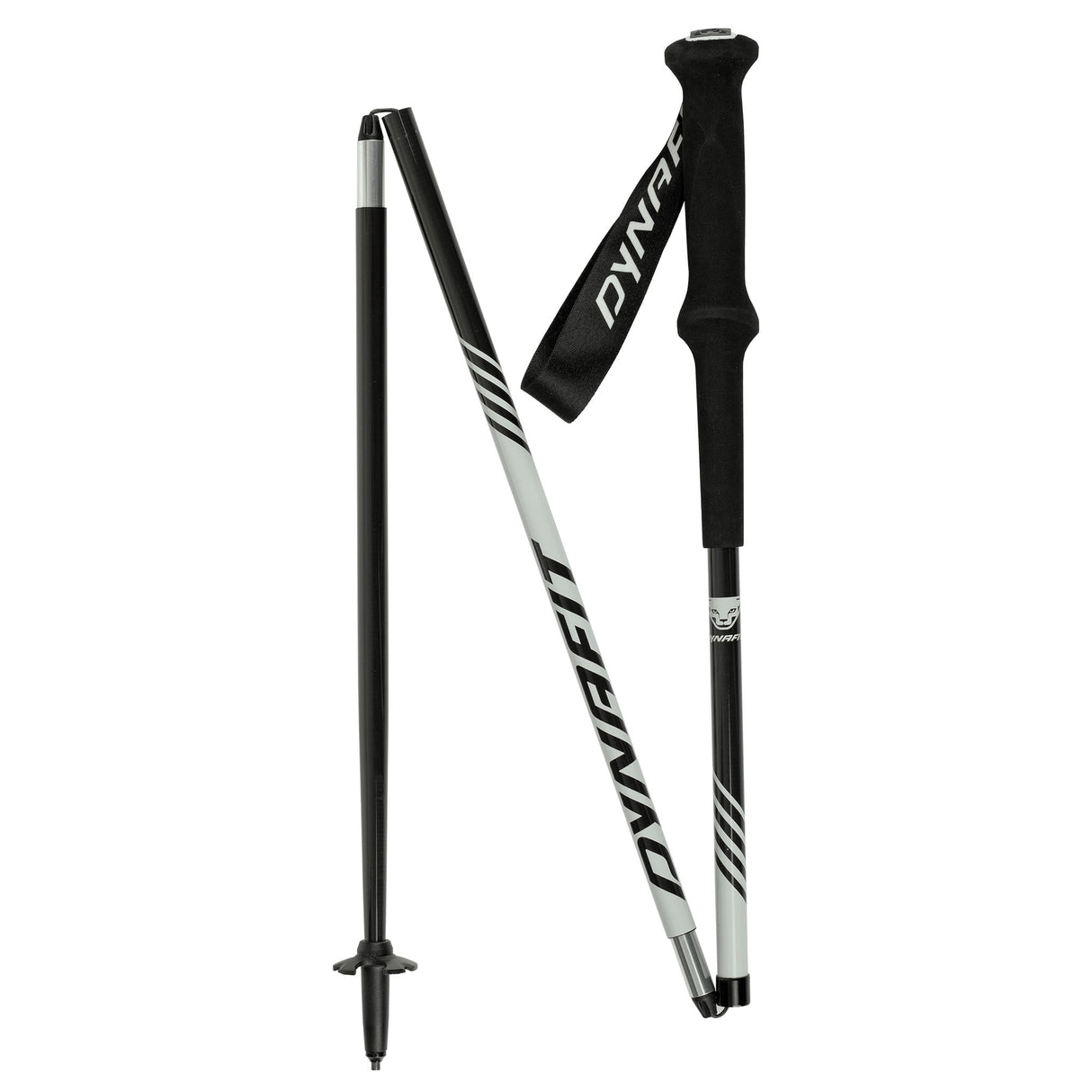 DYNAFIT ALPINE PRO POLE