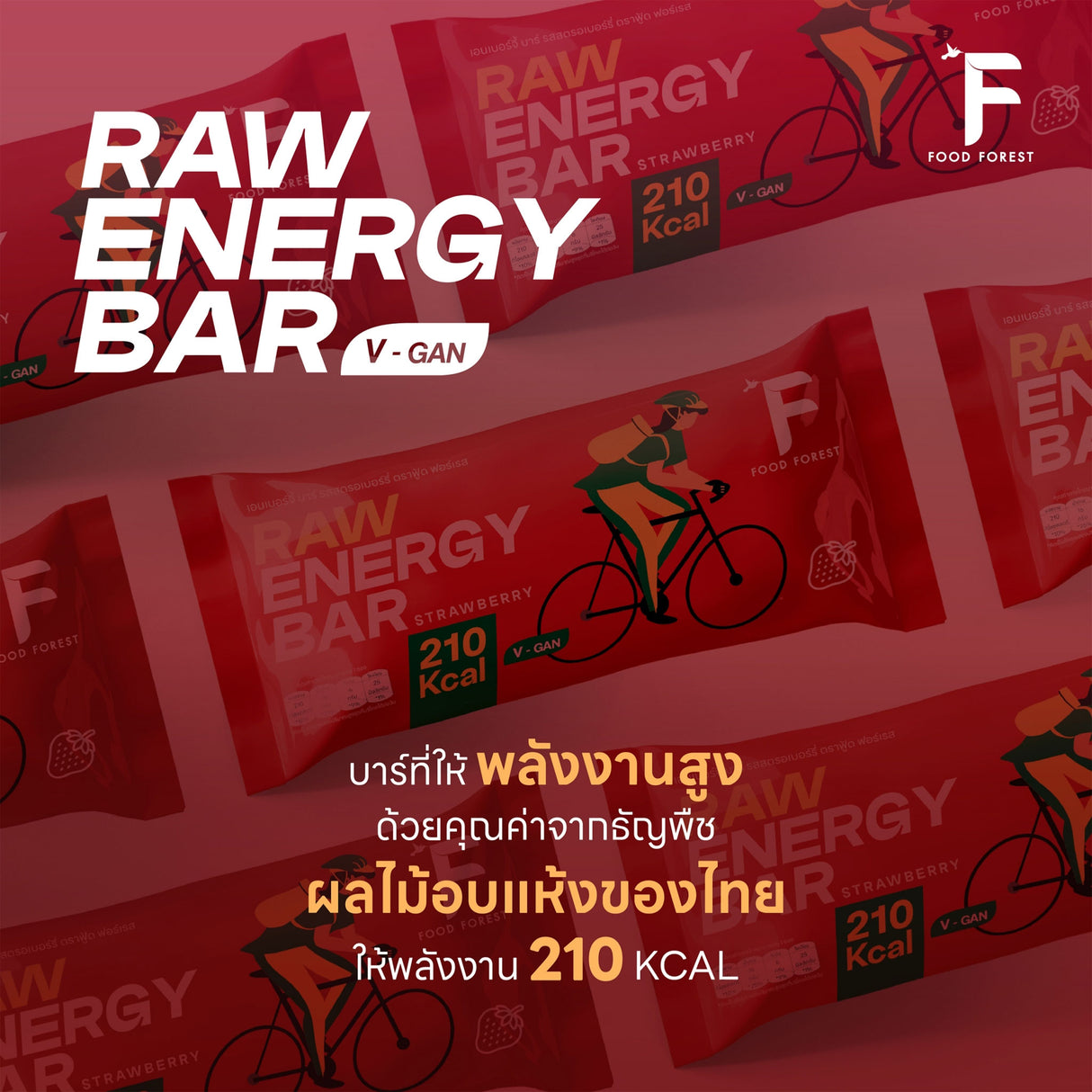 FOOD FOREST RAW ENERGY BAR 50g