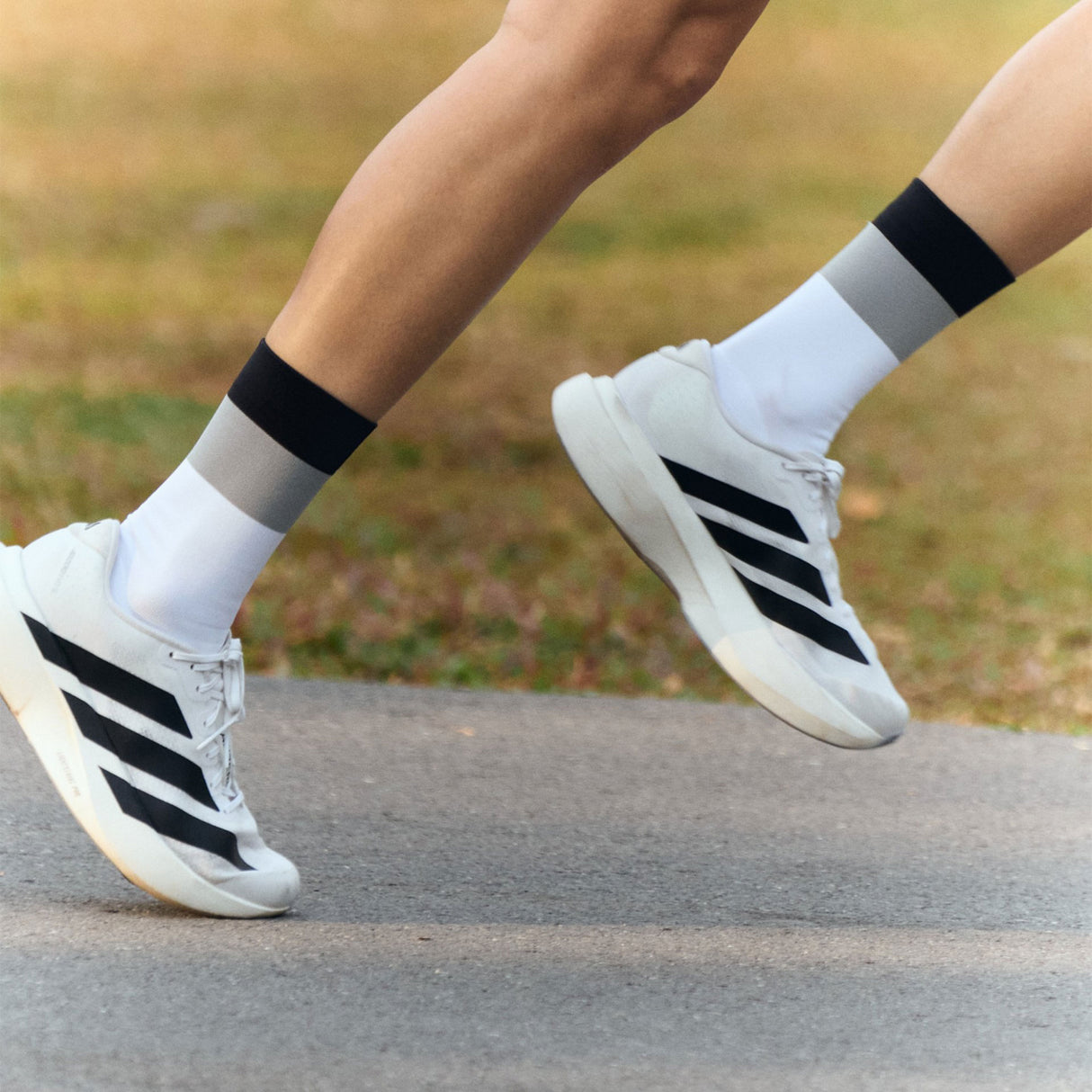 PERSONALBEST PERFORMANCE SOCK - CREW - SPECTRUM