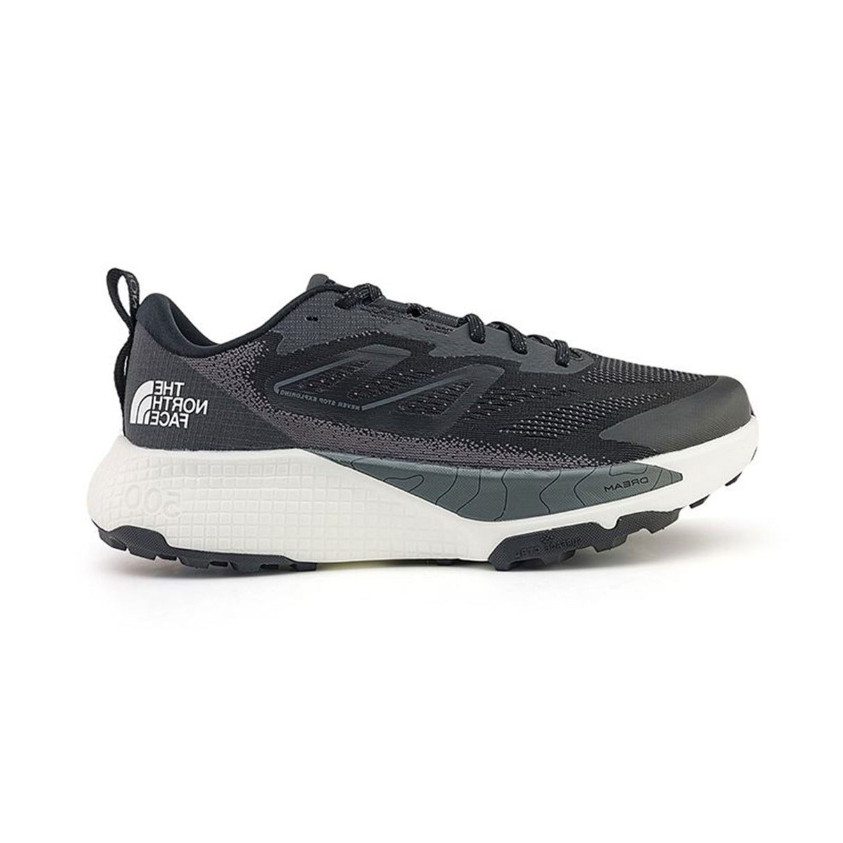 THE NORTH FACE MEN ALTAMESA 500